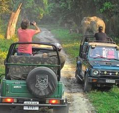 Jeep safari tour