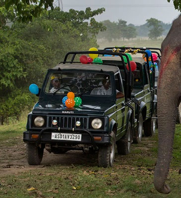 jeep-safari-kaziranga-assam