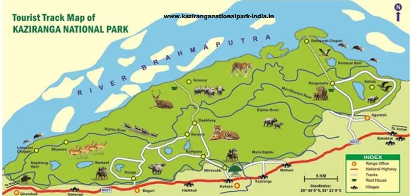 kaziranga-safari-map
