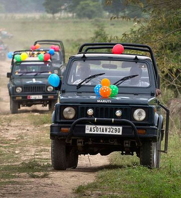 jeep-safari-kaziranga-natio