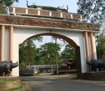 safari-gate-kaziranga